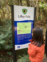 Liffey Fall Trail